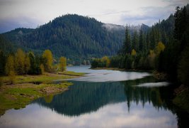 Willamette National Forest in USA, Oregon | Nature Reserves - Rated 4.1