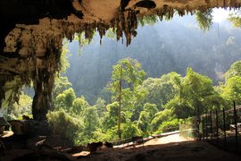 Niah National Park in Malaysia, Sabah | Parks,Speleology - Rated 3.5