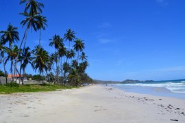 Playa El Espino | Surfing,Beaches - Rated 3.8
