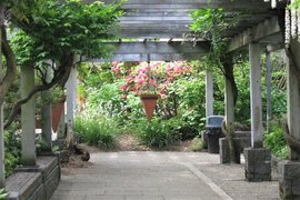 Washington Park Arboretum UW Botanic Gardens | Botanical Gardens - Rated 4.1