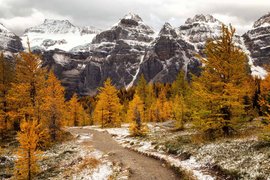 Larch Tree Valley Trek in Canada, Alberta | Trekking & Hiking - Rated 4.1
