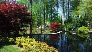 Sarah P. Duke Gardens in USA, North Carolina | Botanical Gardens - Rated 4.2