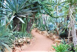 Lyon Botanical Garden | Botanical Gardens - Rated 3.9
