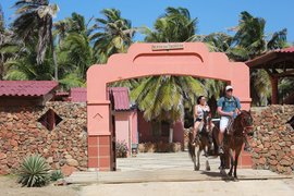 Rancho Daimari in Aruba, Santa Cruz | Horseback Riding - Rated 0.8