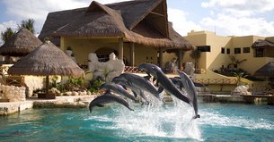 Dolphinarium | Aquariums & Oceanariums - Rated 4.5