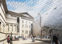 Australian Museum | Museums - Rated 3.7