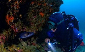 Dive Club Cipreia . Sesimbra | Scuba Diving - Rated 6.7