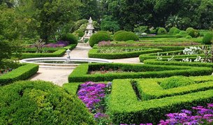 Botanical Garden of the Academy of Sciences in Moldova, Chisinau Municipality | Botanical Gardens - Rated 3.9