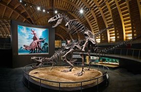 Jurassic Museum of Asturias | Museums - Rated 3.7