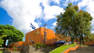 Dr. David J. Guzman National Museum in El Salvador, San Salvador | Museums - Rated 3.7