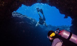 Aaron's Dive Shop | Scuba Diving - Rated 3.5