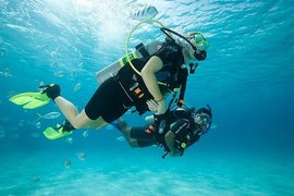 Diving Teide Divers PADI 5 Star Dive Resort in Spain, Canary Islands | Scuba Diving - Rated 4.1