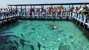 Oceanarium Rosario Islands | Aquariums & Oceanariums - Rated 4.3