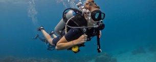 The Scuba Company | Scuba Diving - Rated 0.9