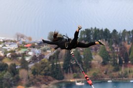 AJ Hackett Taupo Bungy & Swing | Bungee Jumping - Rated 4