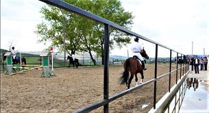 AO Clubul de Hipism Sparta in Moldova, Chisinau Municipality | Horseback Riding - Rated 1.3