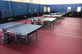 Academia Fit Pong de Tenis de Mesa in Brazil, Central-West | Ping-Pong - Rated 1.1