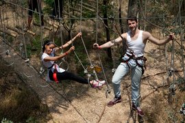 Acrobranch Melrose | Adventure Parks - Rated 3.6
