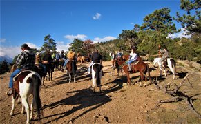 Adagio Riding Stables | Horseback Riding - Rated 1