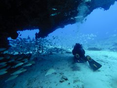 Canary Diving in Spain, Canary Islands | Scuba Diving - Rated 4.2