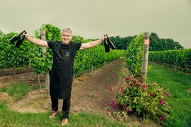 Adoria Vineyard in Poland, Lower Silesian | Wineries - Rated 0.9