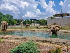 The Milwaukee County Zoo