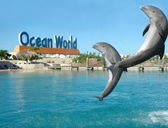 Adventure Park Ocean World in Dominican Republic, Puerto Plata | Water Parks - Rated 4.1