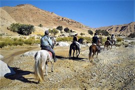 African Caravan Tours in Tunisia, Sousse Governorate | Horseback Riding - Rated 1
