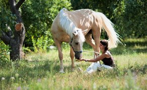 Agrousad'ba Mechta Detstva | Horseback Riding - Rated 1.1