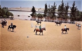 AlAsayel Equestrian Club in Jordan, Amman Governorate | Horseback Riding - Rated 0.9
