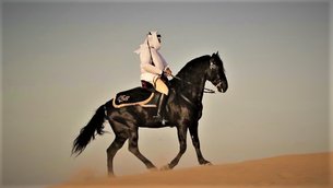 Al Ahli Horse Riding Club, Dubai in United Arab Emirates, Emirate of Dubai | Horseback Riding - Rated 3.9