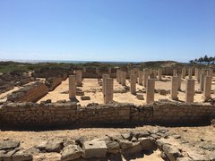 Al Balid Archeological Site | Excavations - Rated 3.5