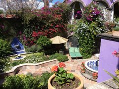 Allende Garden | Parks,Gardens - Rated 4.2