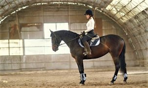 Alvand Equestrian Center | Horseback Riding - Rated 0.8