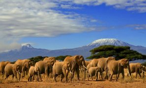 Amboslay National Park in Kenya, Rift Valley | Parks - Rated 3.9
