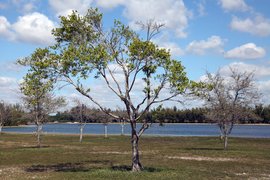 Amelia Earhart Park in USA, Florida | Parks - Rated 3.9