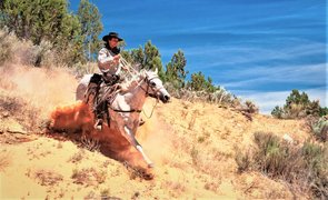 American Horse Trails in USA, Florida | Horseback Riding - Rated 1.2