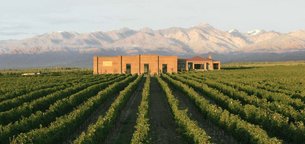 Andeluna in Argentina, Mendoza Province | Wineries - Rated 3.5