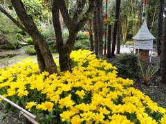 Andre Heller Botanical Garden | Botanical Gardens - Rated 3.7