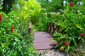 Andromeda Botanic Gardens in Barbados, St. Joseph Parish | Botanical Gardens - Rated 3.6
