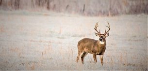 Andy Myers Lodge in Canada, Ontario | Hunting - Rated 1.1
