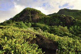 Anse Major Trail in Republic of Seychelles, Mahe | Trekking & Hiking - Rated 3.6