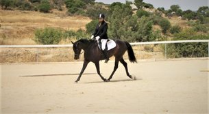 Amathus Park Riding & Livery Club in Cyprus, Larnaca District | Horseback Riding - Rated 0.9
