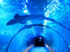 Aquarium of Niagara in USA, New York | Aquariums & Oceanariums - Rated 3.8