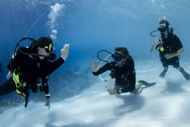 Aquatic Adventures Scuba Academy in USA, Virginia | Scuba Diving - Rated 0.9