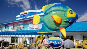Aquaworld in Mexico, Quintana Roo | Water Parks - Rated 3.3