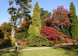 Arboretum | Gardens - Rated 4