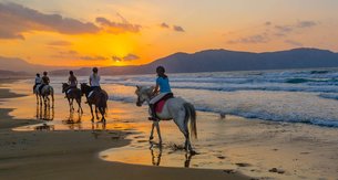 Arena Horse Riding in Greece, Ionian Islands | Horseback Riding - Rated 0.9