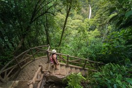 Arenal Hanging Bridges Hike in Costa Rica, Alajuela Province | Trekking & Hiking - Rated 4
