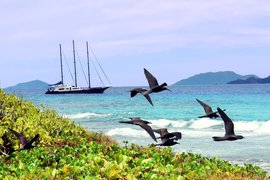 Aride in Republic of Seychelles, Praslin | Nature Reserves - Rated 0.9